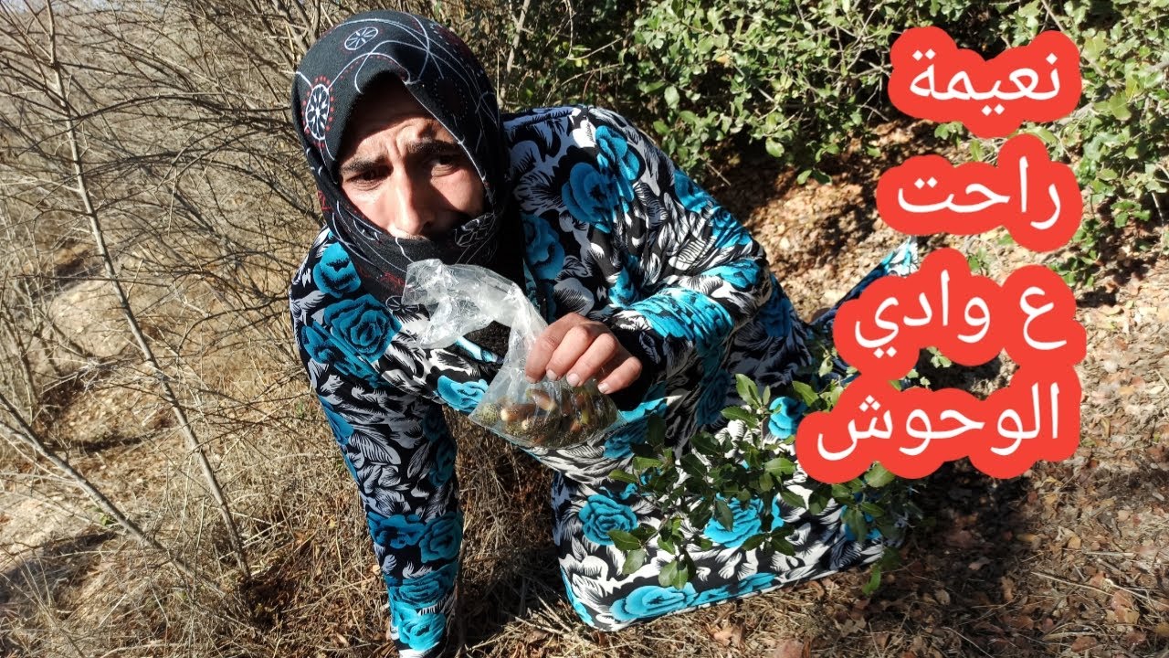 كوميدي عفرين | سلسلة إيحو و نعيمة الحلقة 8