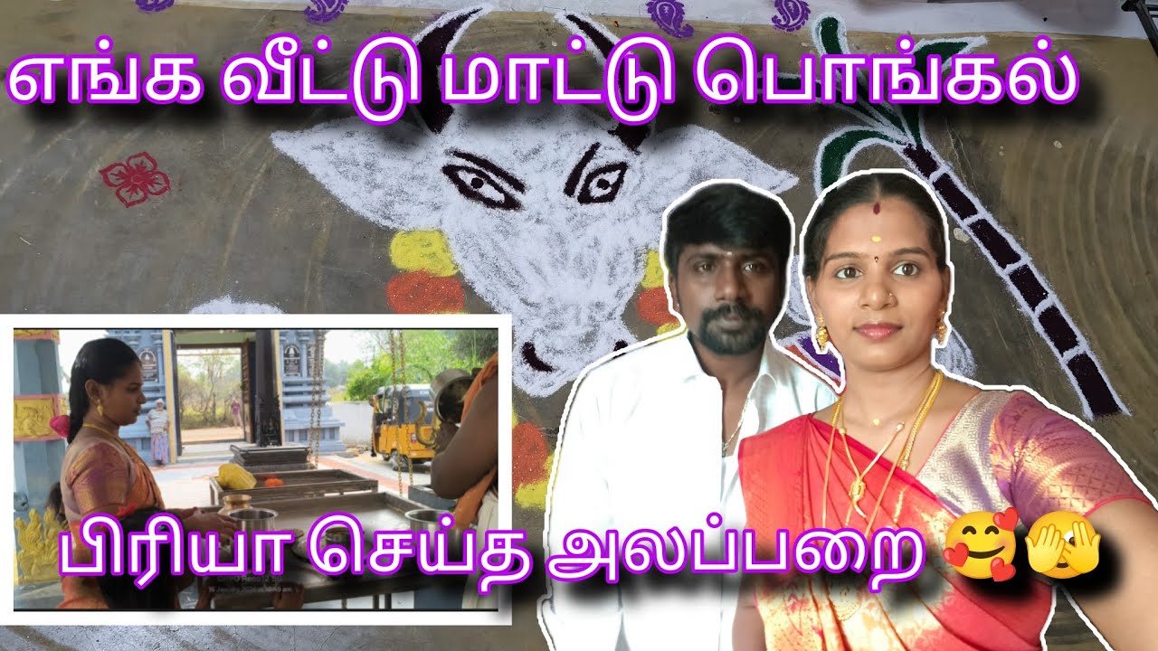 எங்க வீட்டு மாட்டு பொங்கல் 🫣 வாங்க பார்க்கலாம் #trendingvideo #vlog #familyvlog 