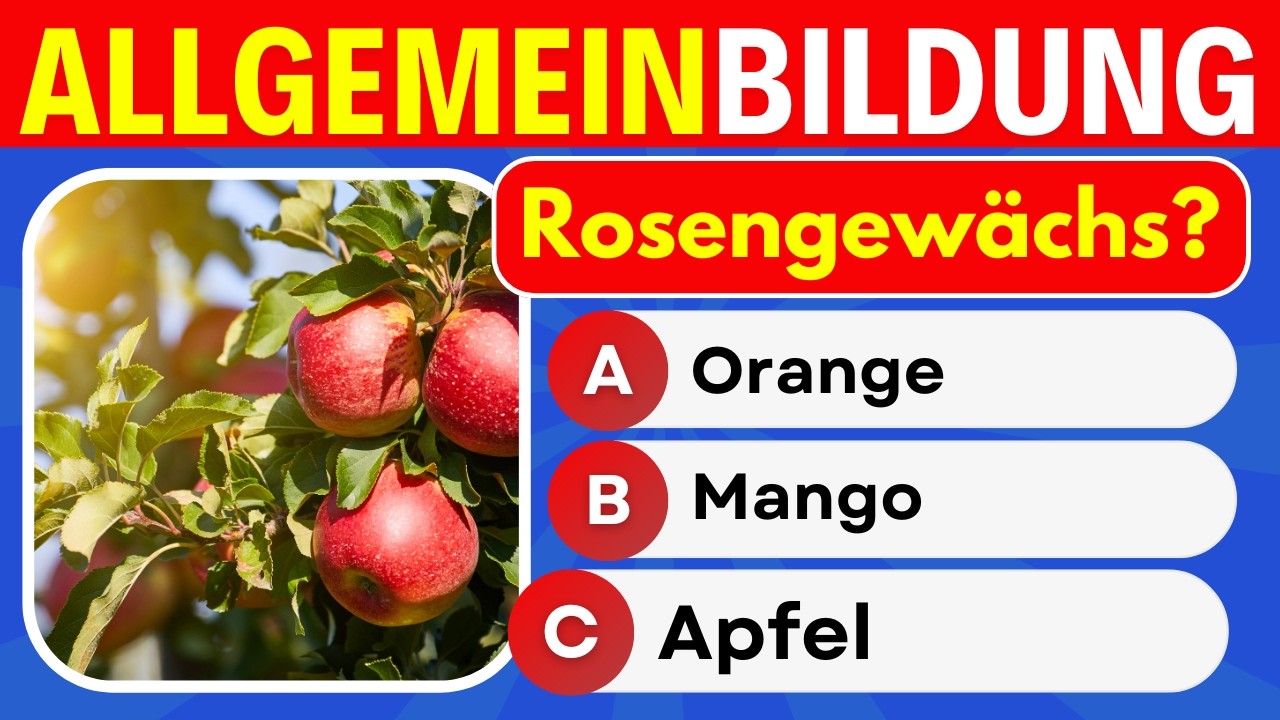 Allgemeinwissen-Quiz: 30 Fragen, die du kennen solltest