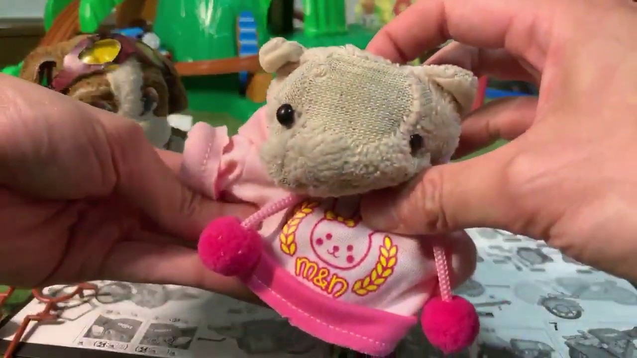 【LIVE】ぴんくのぶたチャンネル公開収録【ブルマのバイク篇】