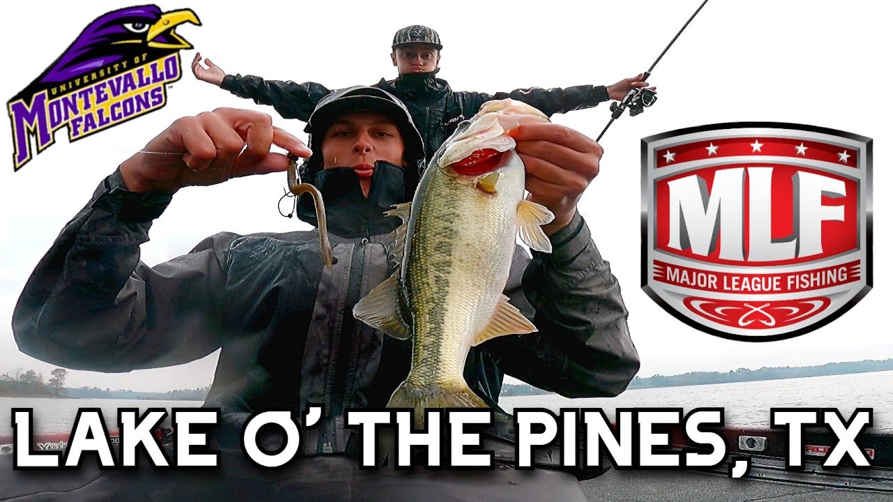 Texas Timber Pinpoint Wormin'!! (MLF Lake O' The Pines)