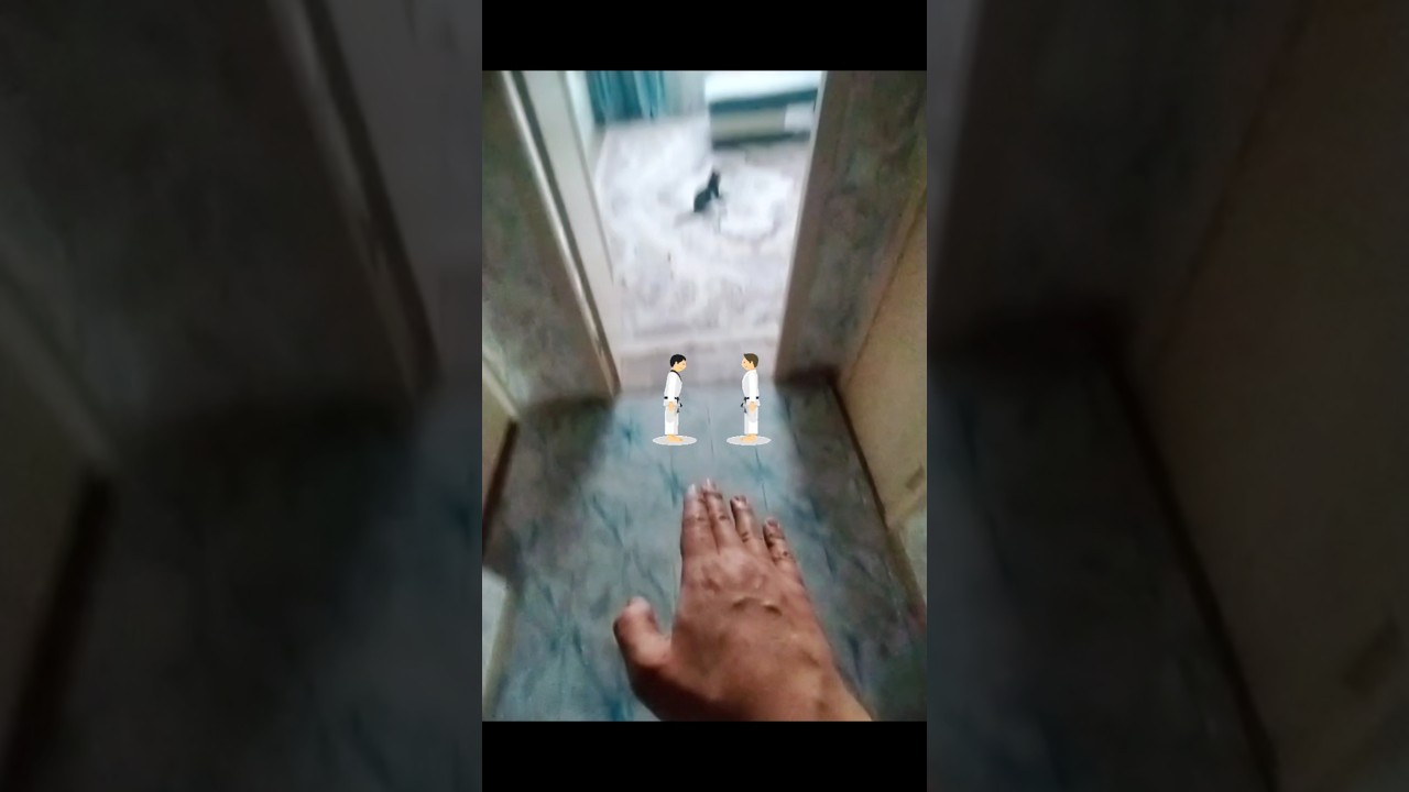 Кунг Фу Тимка😸 #catvideos #видосыоткота #веселыекоты #прокотов #котТимка