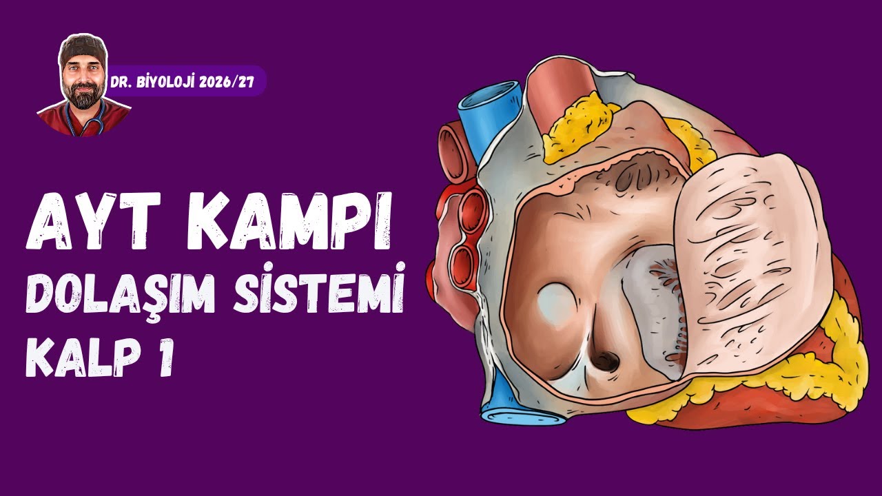 Dolaşım Sistemi Kalp 1 | Dr. Biyoloji | AYT Dönem 2026 - 2027