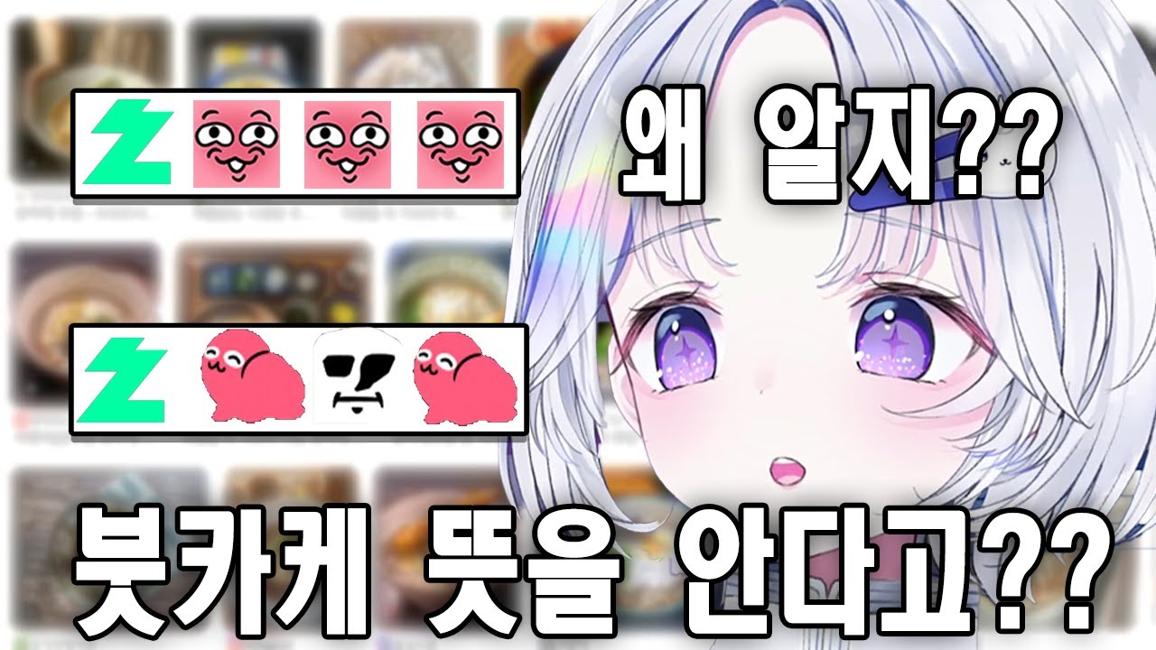 한국인들이 일본어를 잘아는게 신기한 유니