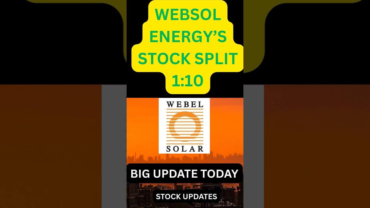 Websol Stock Split 1:10 🚀 6000% Return in 5 Years | अगला Multibagger?