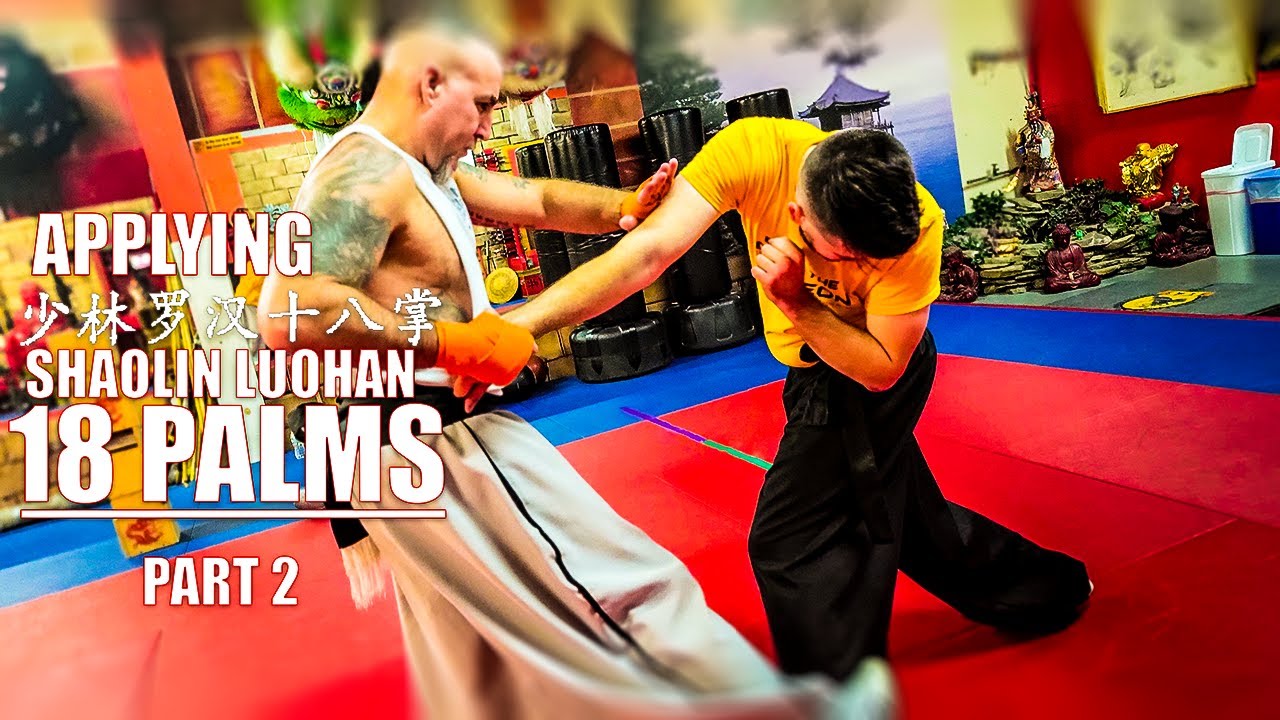 Form and Function: Shaolin Luohan 18 Palms Part 2
