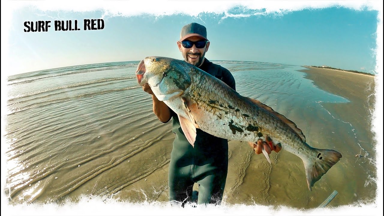 FISHING FOR BULL REDS IN THE SURF! LANDED A MONSTER / DAIWA SEAGATE