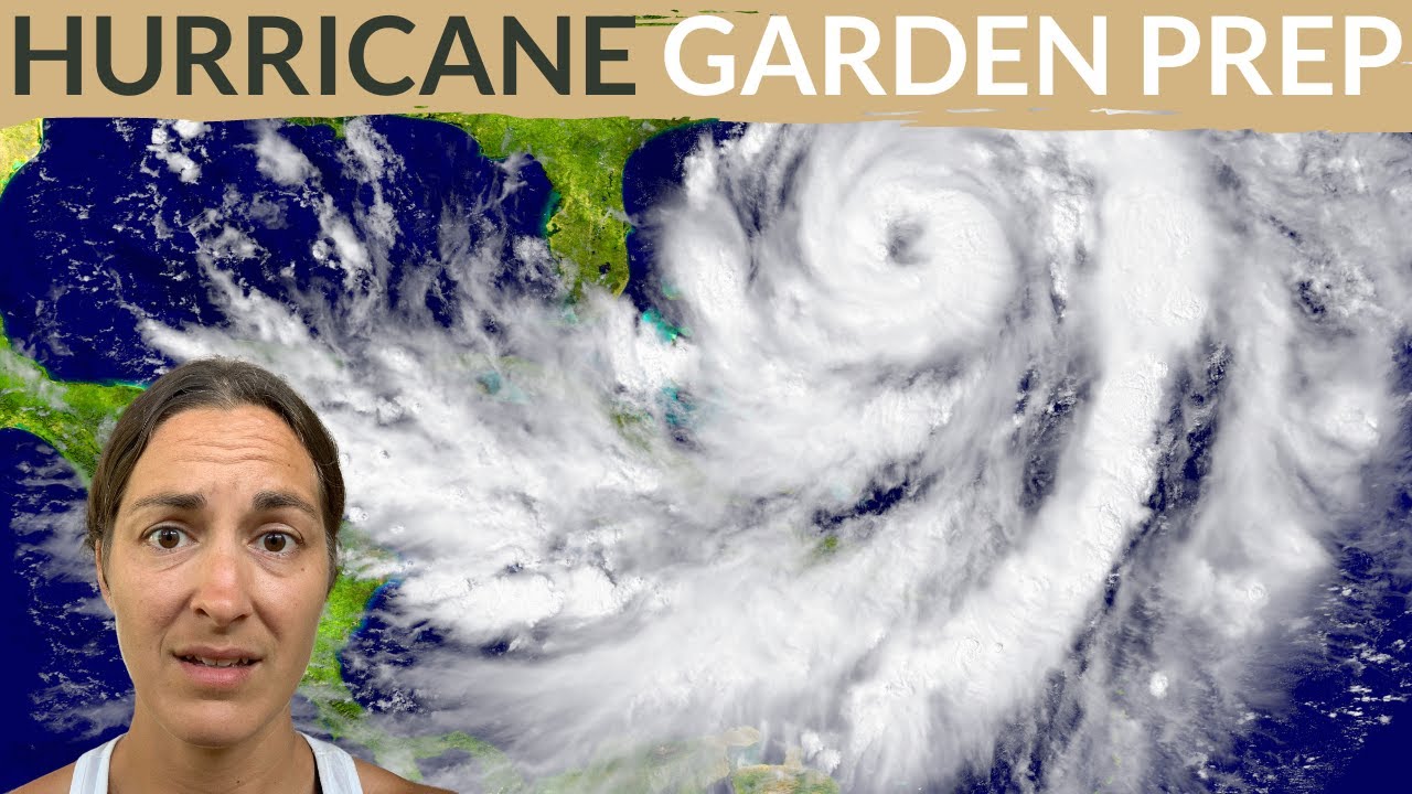 How To Prepare a Garden for Hurricane