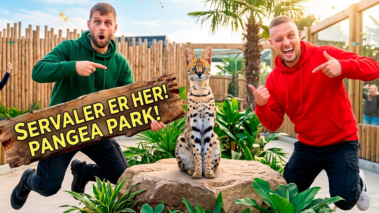 Vi Får Mini Leoparder I Pangea Park !