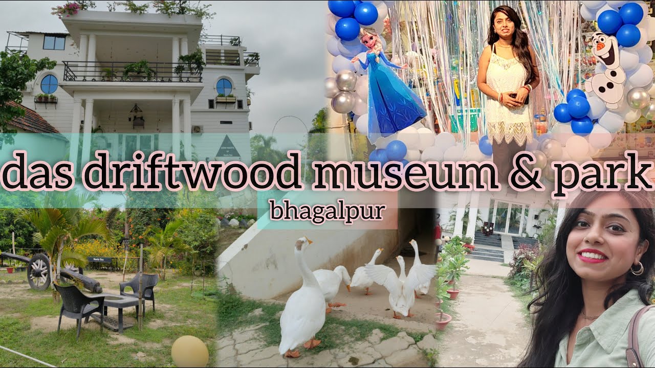 das driftwood museum & park bhagalpur best tourist place #bhagalpur #driftwoodart #vlog