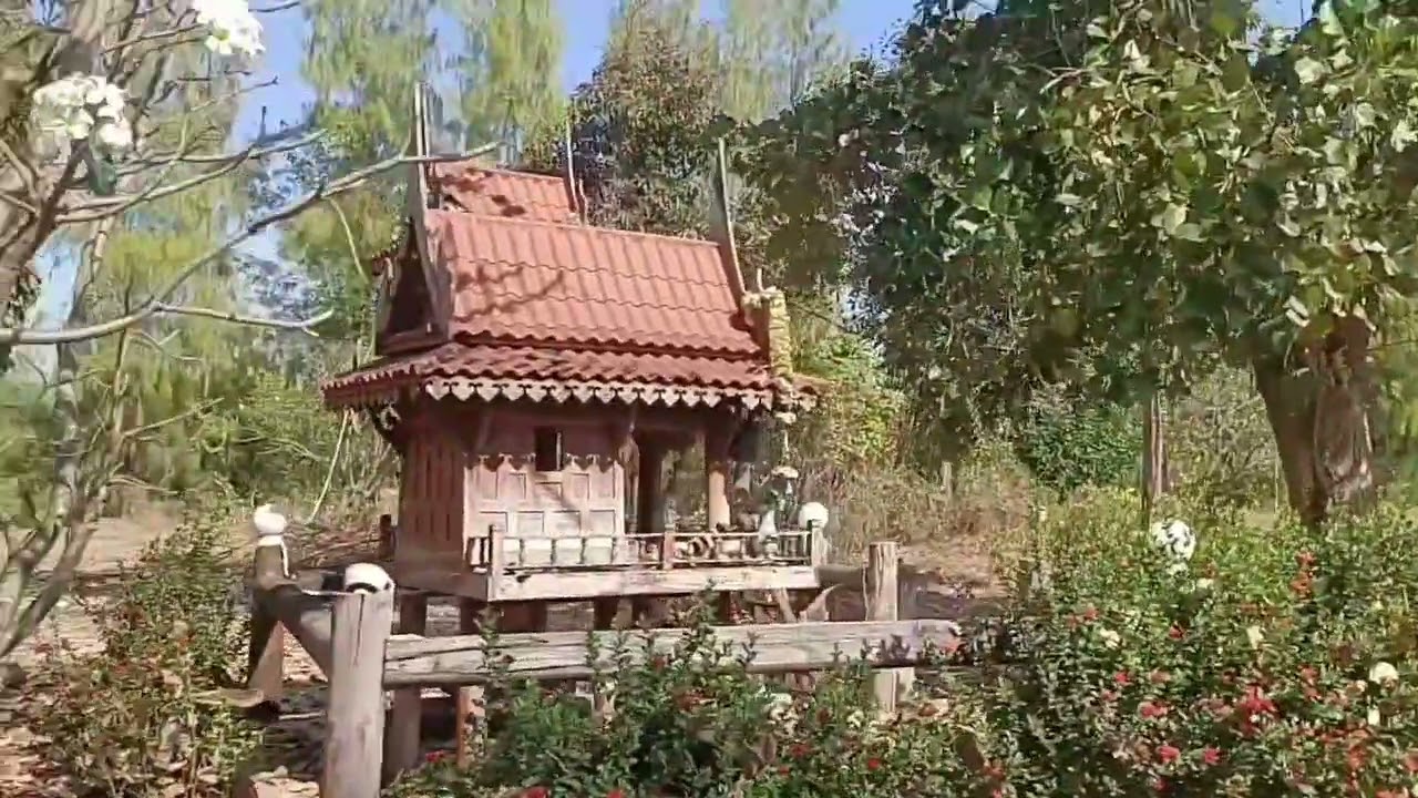 บ้านสวนไม้สัก + ที่ดิน 9 ไร่ ยกแปลง💰 15 ล้านบาท ต.หนองสาหร่าย อ.ดอนเจดีย์ จ.สุพรรณบุรี