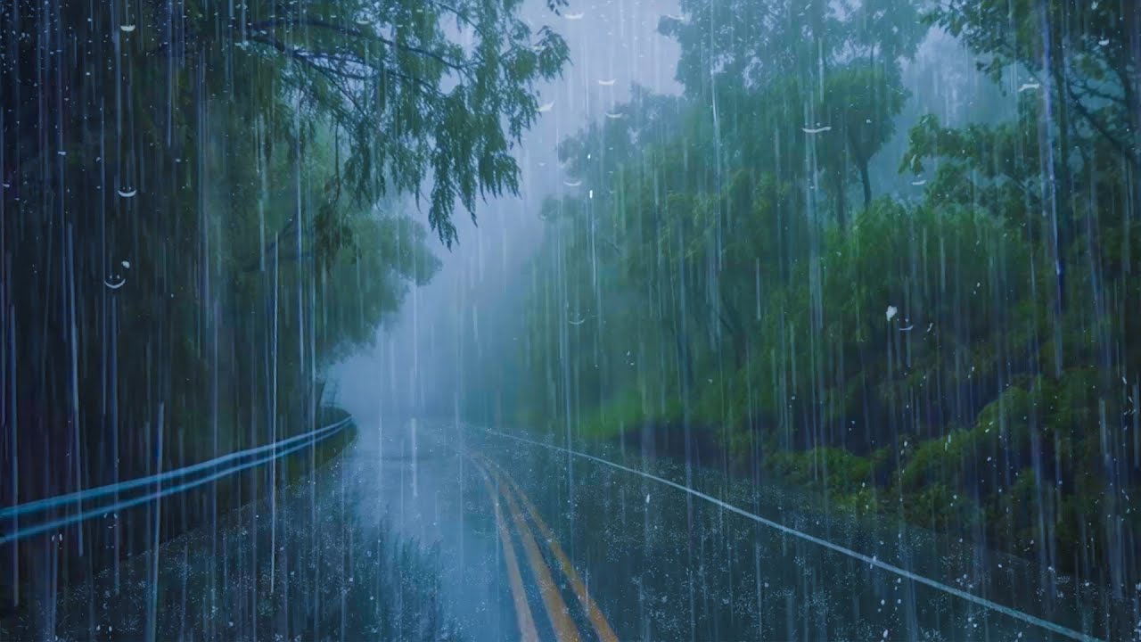 Sade&auml;&auml;net syv&auml;&auml;n uneen ja rentoutumiseen ⛈ Sateen ja ukkosen &auml;&auml;ni&auml; sumuisessa mets&auml;ss&auml;