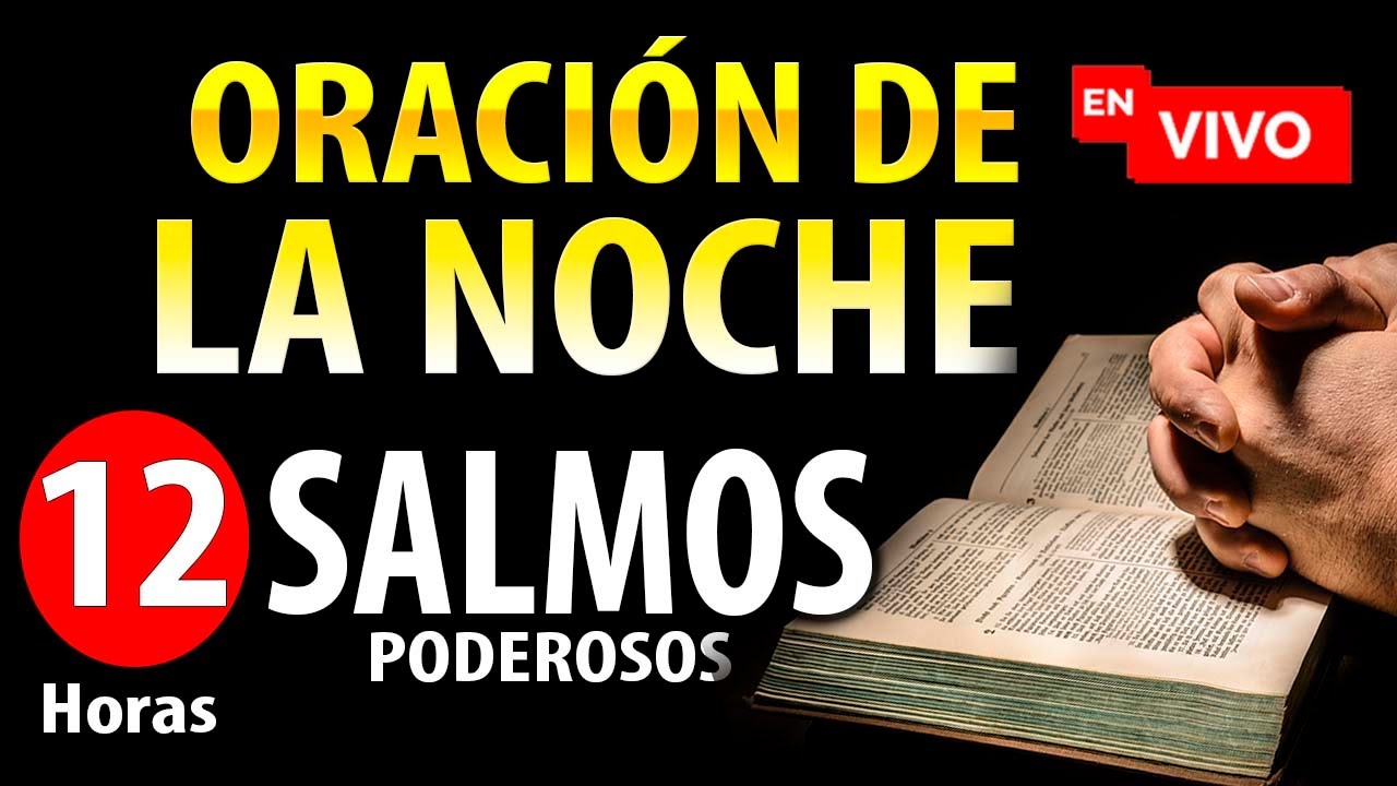 🔴SALMOS PODEROSOS PARA ORAR Y PEDIR A DIOS 🙏🏻 SALMO 91 ✅ Salmos para fortalecer tu fe