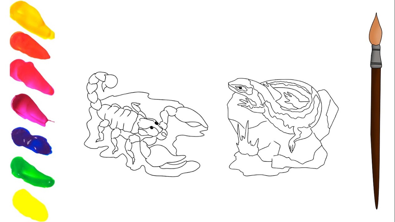 HOW TO COLOR LIZARDS AND SCORPIONS