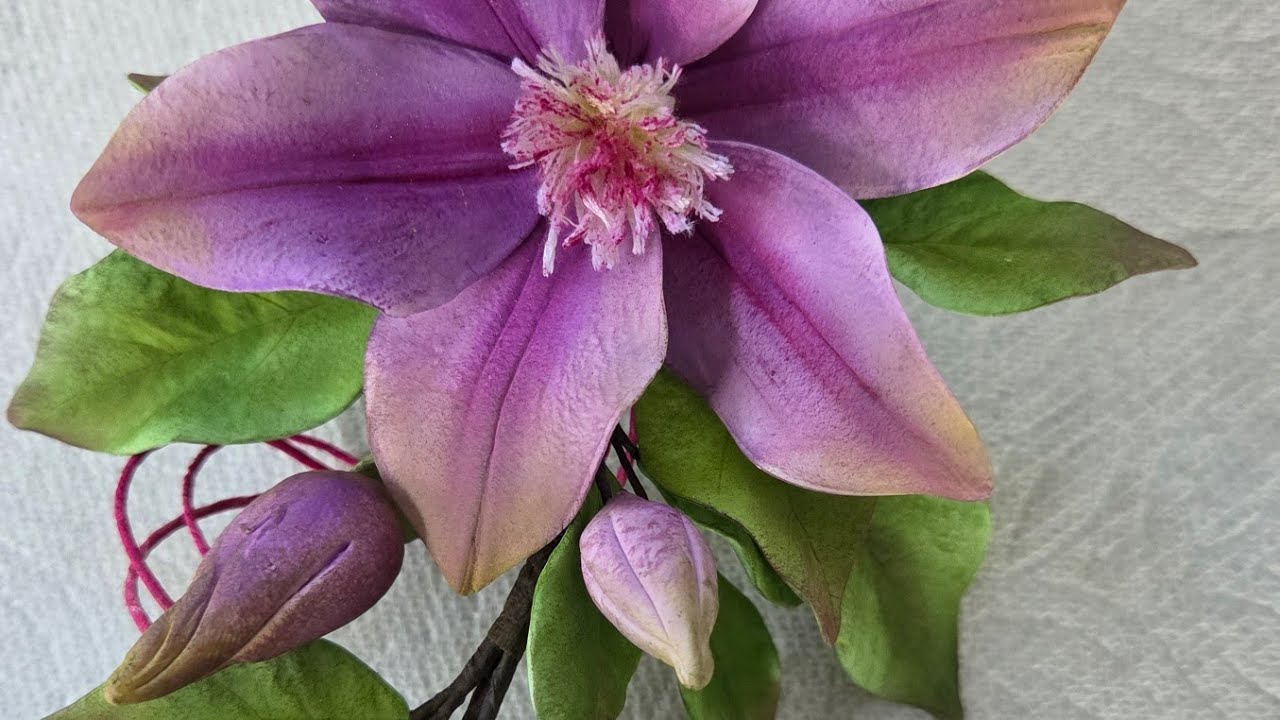 Gumpaste clematis Tutorial, flor de azucar #FloresDeAzúcar #PasteleríaCreativa #ReposteríaArtística 