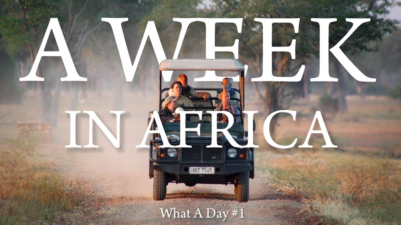 A Week in Africa: Safari in Zambia, Luxury Airbnb in a bush [WAD #1]