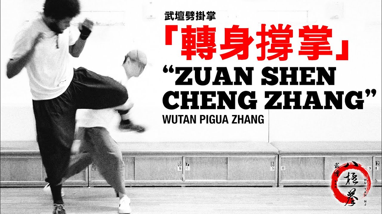 武壇劈掛掌「轉身撐掌」WuTan Pigua Zhang “ZuanShen ChengZhang”
