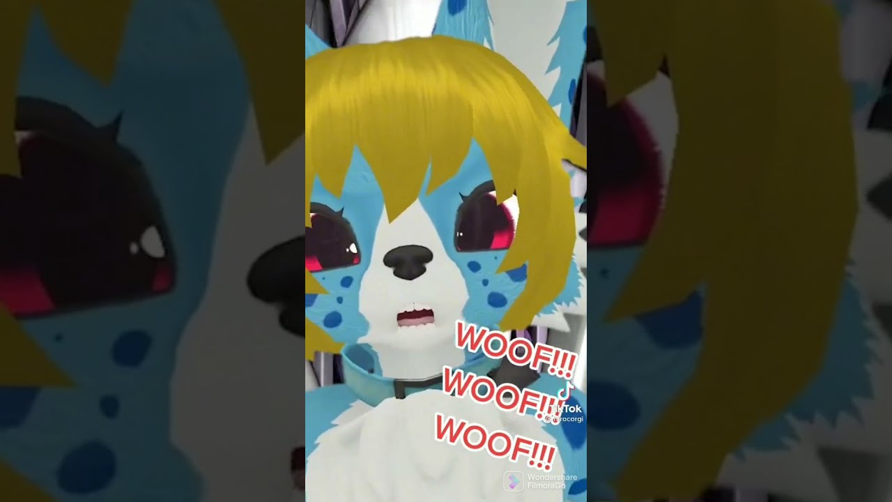 furry randomness #2