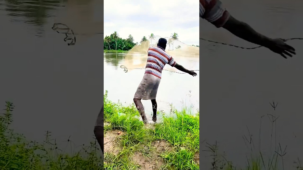 Kuttanad Flood 2026 #flood #shortvideo #kerala #malayalam