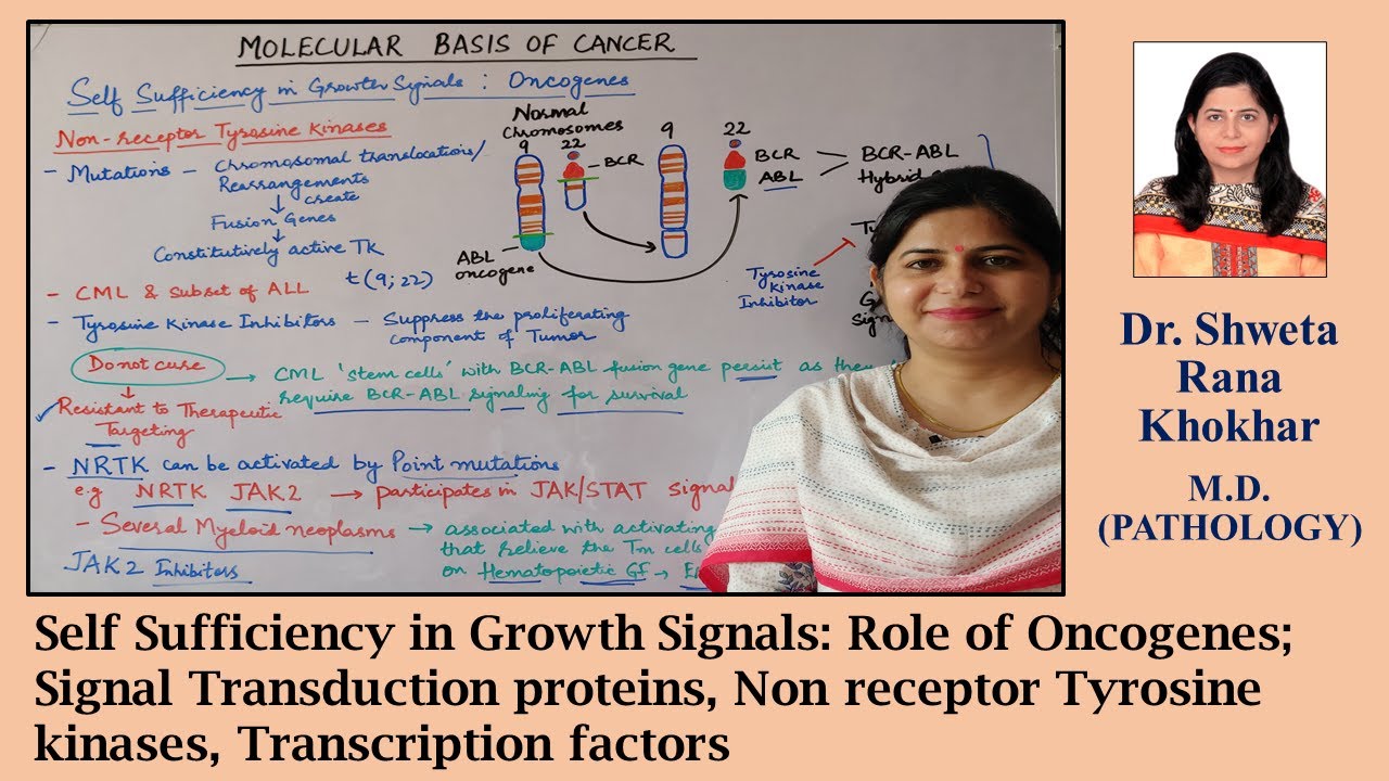 Self Sufficiency in Growth Signals-2: Oncogenes; Signal Transduction proteins, Transcription factors