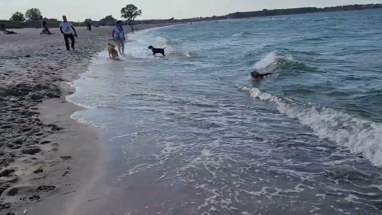 Sehlendorf Sonne, Strand und Mee(h)r