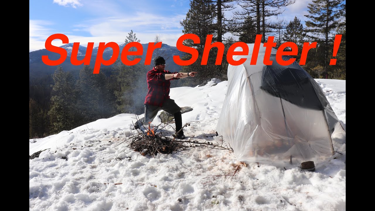 Stay Alive with the Super Shelter!