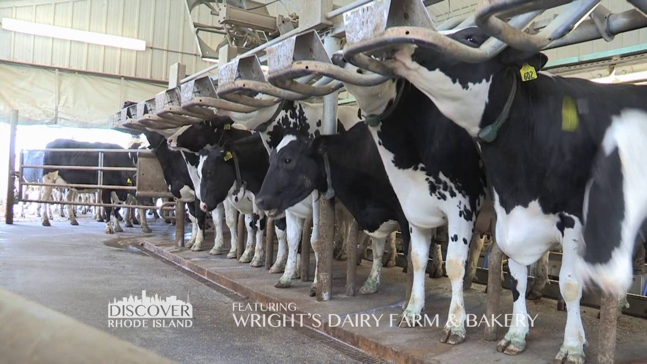 Wright's Dairy Farm & Bakery, a 