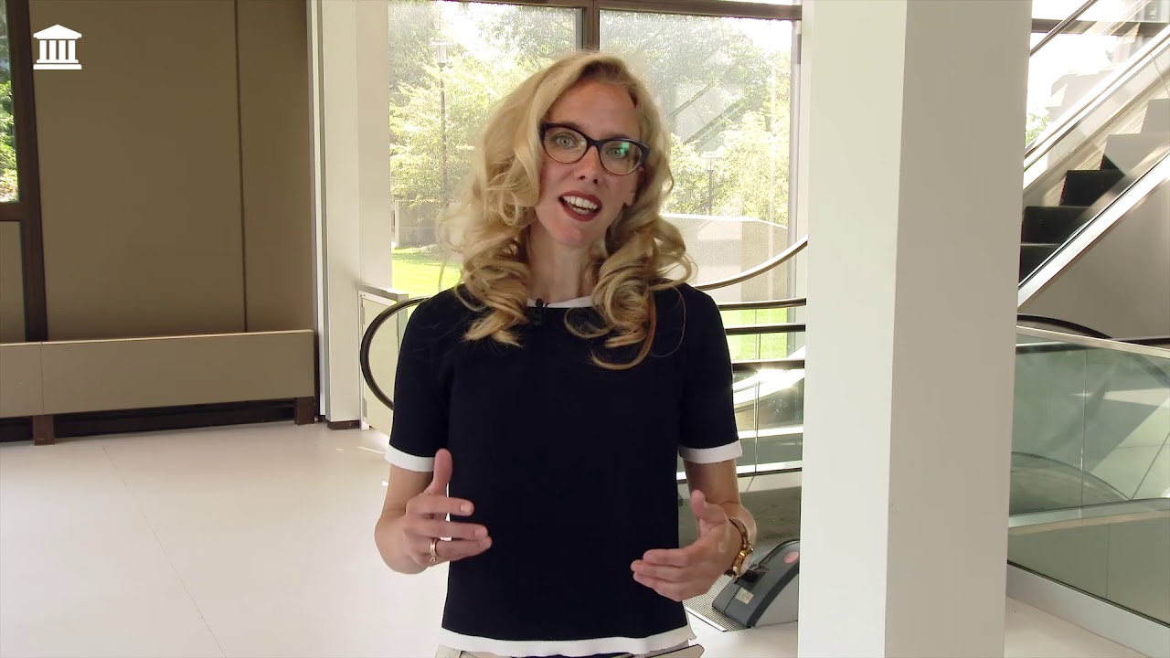 Online training over stemgebruik: introductie (1/9)