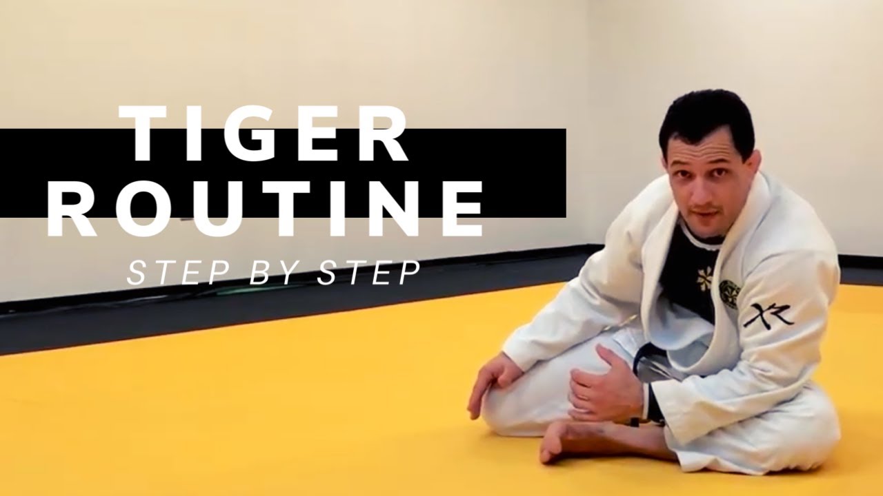 Tiger Routine