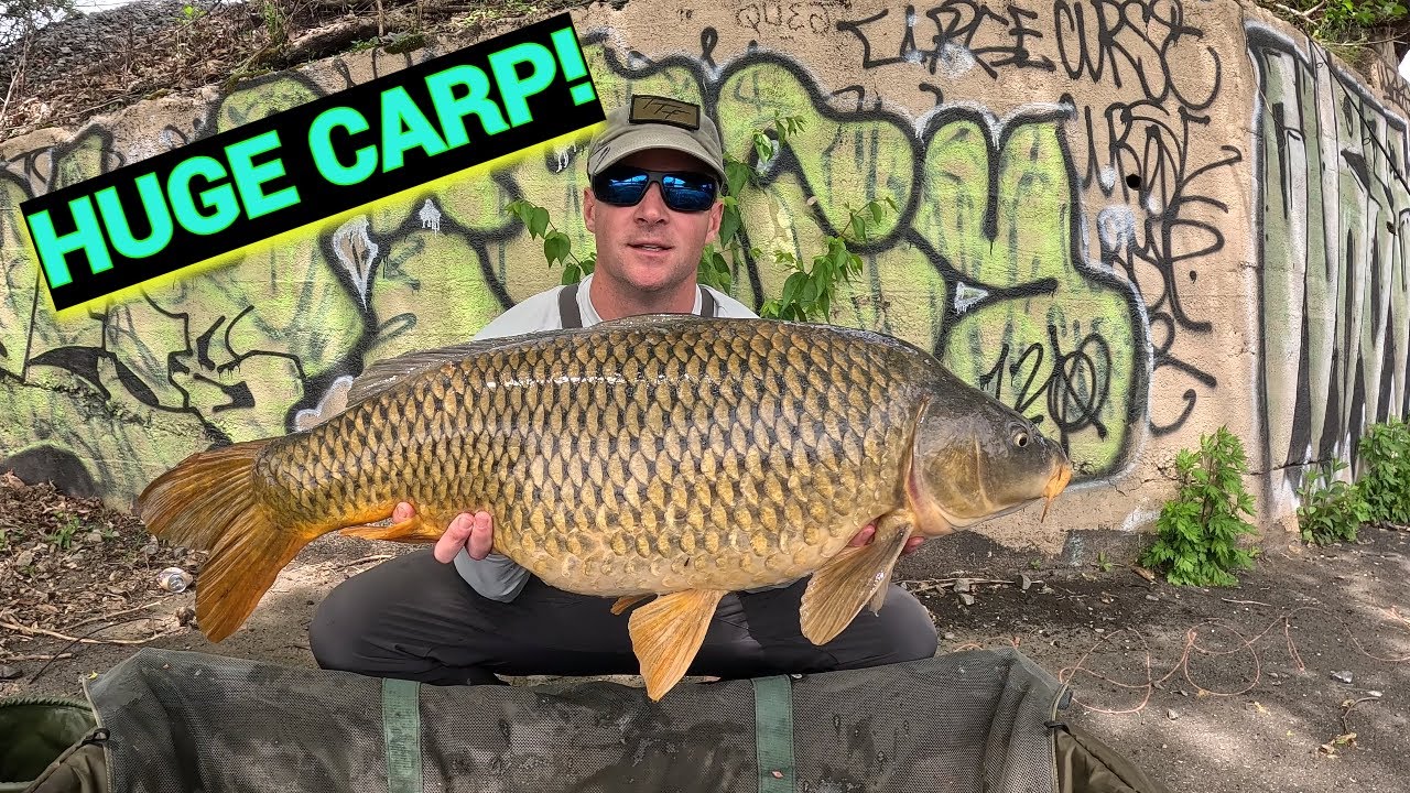 My Setup for Catching BIG Carp (Effective!)