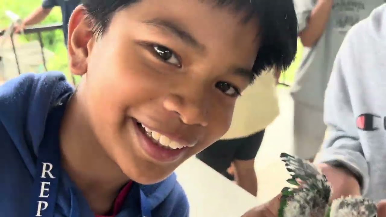 DITO NAMAN TAYO SA ATING TERRITORYO PARROT FREEFLIGHT ECLECTUS ALEXANDRINE PARROT