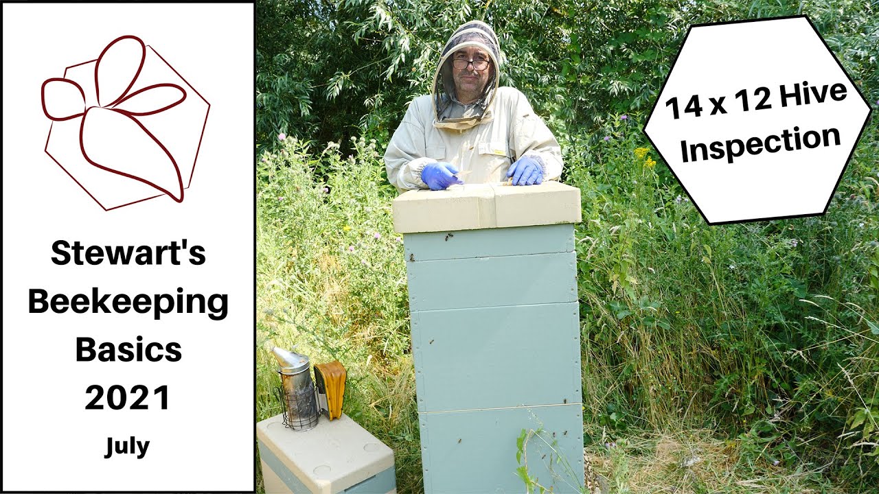 14 x 12 Hive Inspection