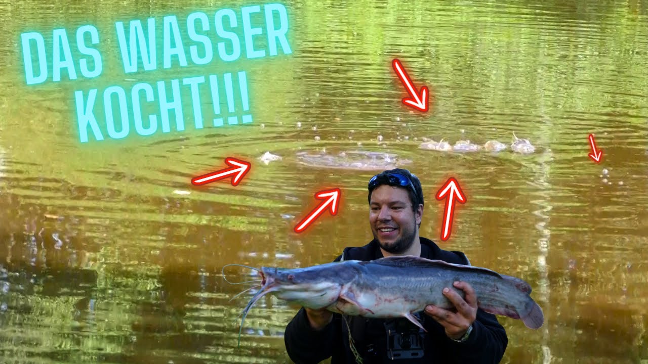 Angeln auf Afrowels // Mit UL Woobler, Gummi, Spoon auf Afrowels // Angelparadies Eschede