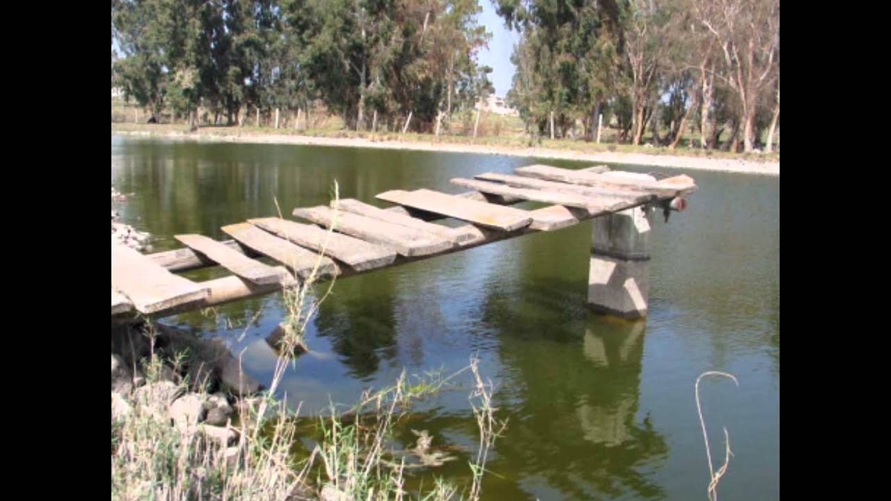 ناصر سلامة قصيدة الوصية