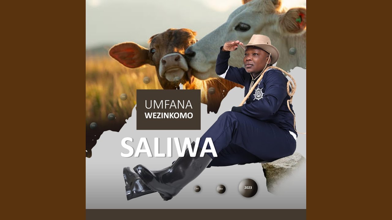 Kuyophela izinhlamvu