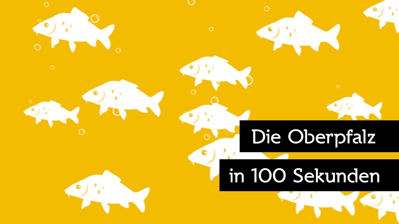 Oberpfalz f&uuml;r Einsteiger: Die Oberpfalz in 100 Sekunden