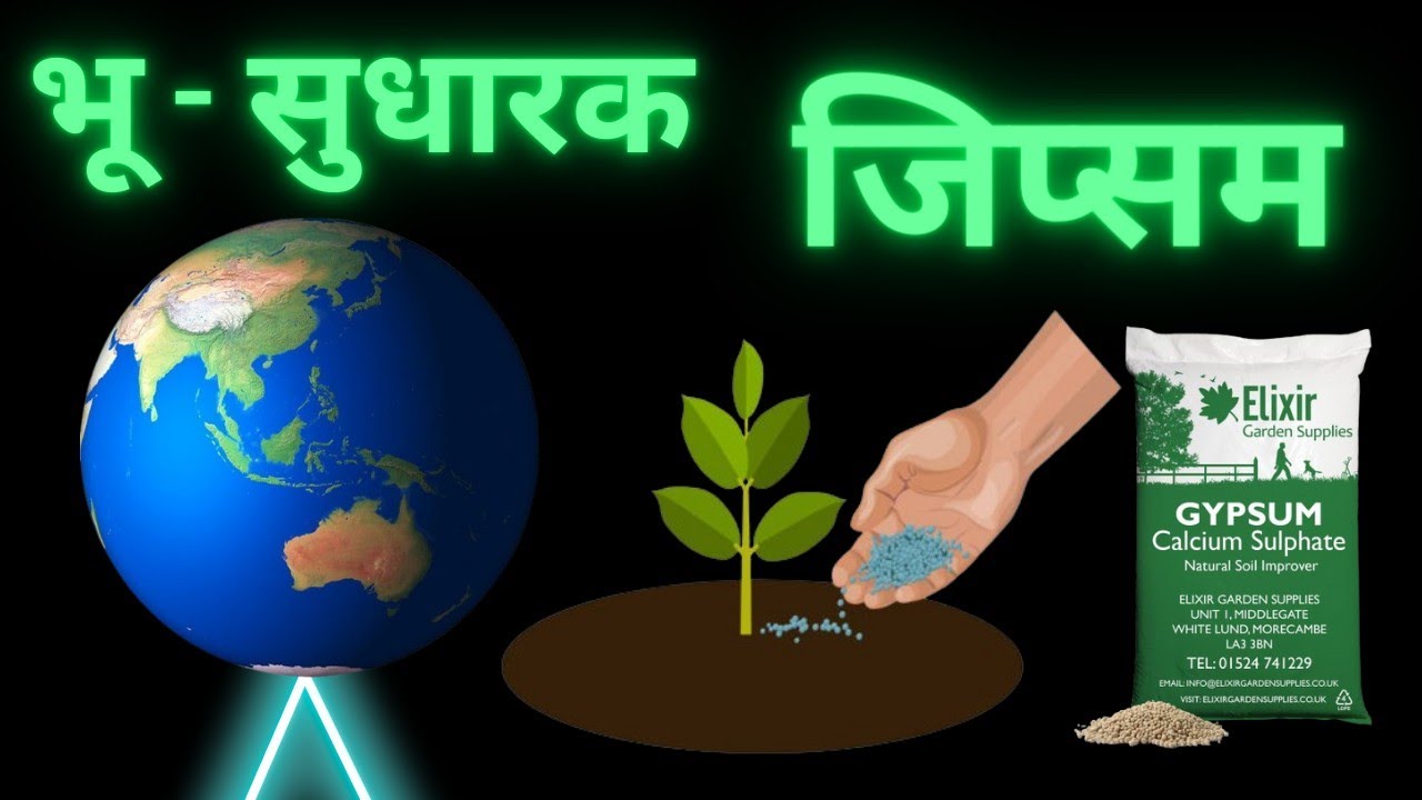 जमिनीचा पी.एच.मेंटन करण्यासाठी जिप्सम चा वापर ll जिप्सम चे फायदे. ll Gypsum benefit for plant