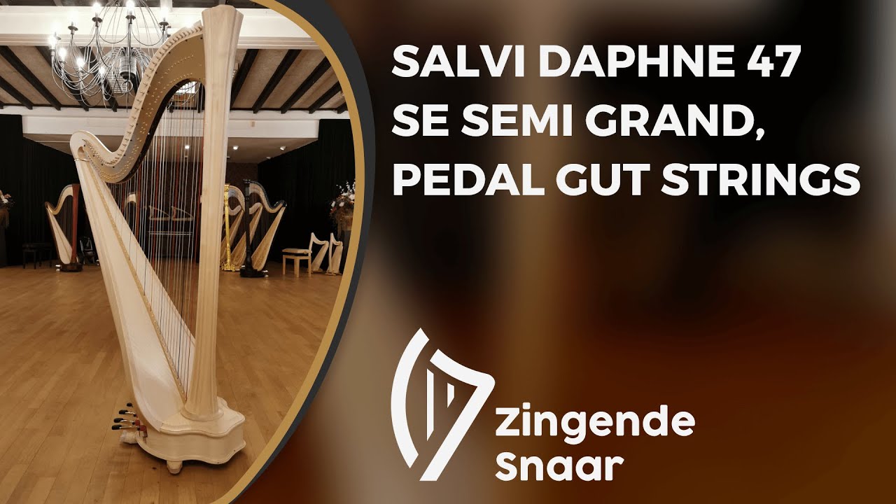 Salvi Daphne 47 SE semi grand, pedal gut strings