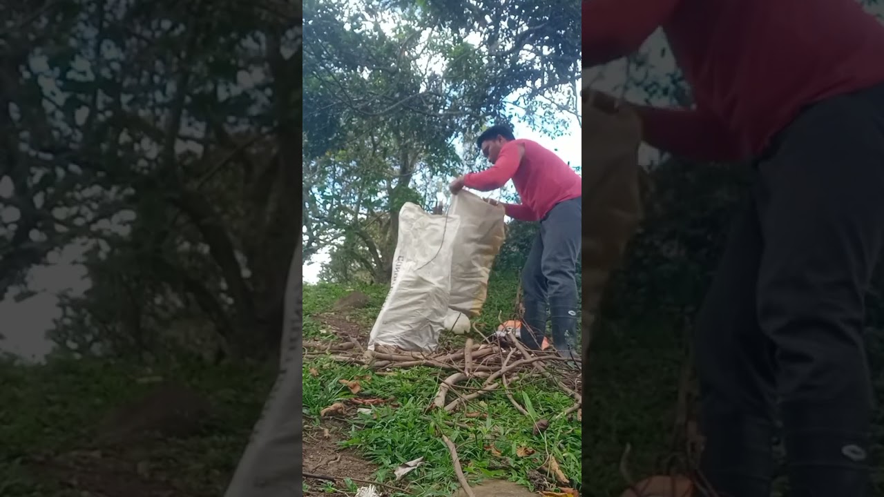 mga hoy tayo sa bundok(@VanYohanon-f3p)