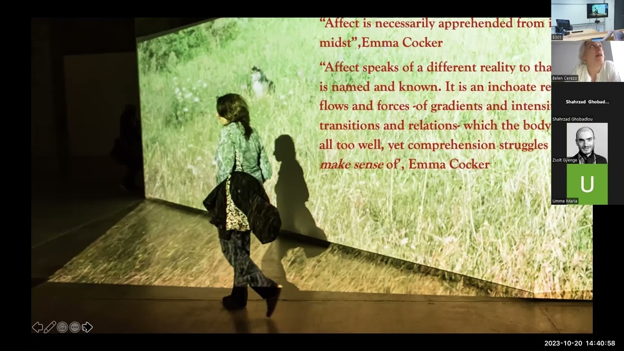 BELÉN CEREZO: AFFECTIVE INTERMEDIALITY IN THE MOVING-IMAGE INSTALLATION VIVIENDO EL DÍA