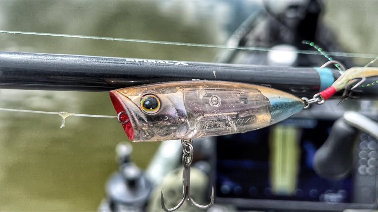 Fishing POPPERS for FALL BASS