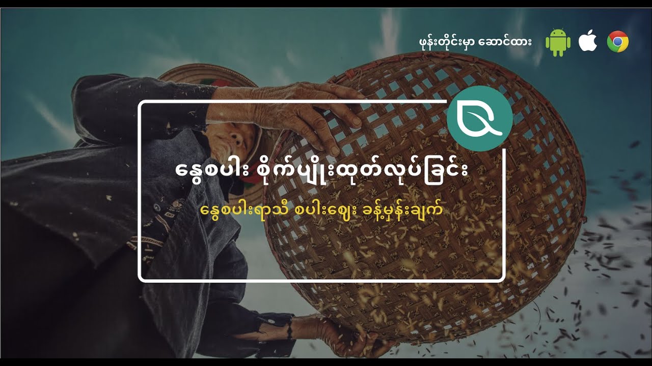 စပါးဈေးခန့်မှန်းချက်