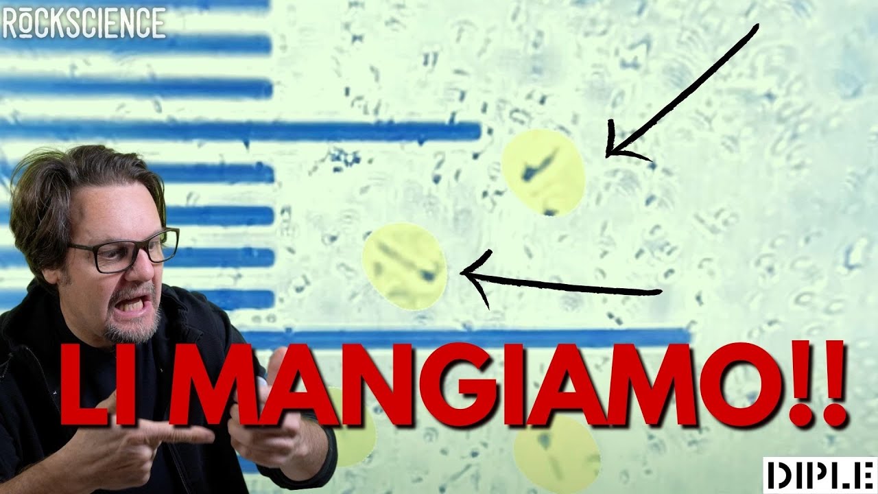 Come riconoscere i FERMENTI LATTICI VIVI - spiegato facile da un Biologo