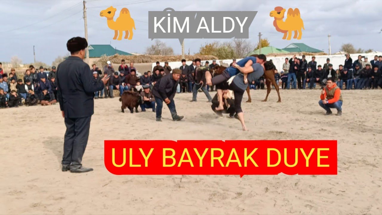 Türkmen Göreşi Daşoguz S.Türkmenbaşy Etrap Uly Baýrak Düye Okuz 2024