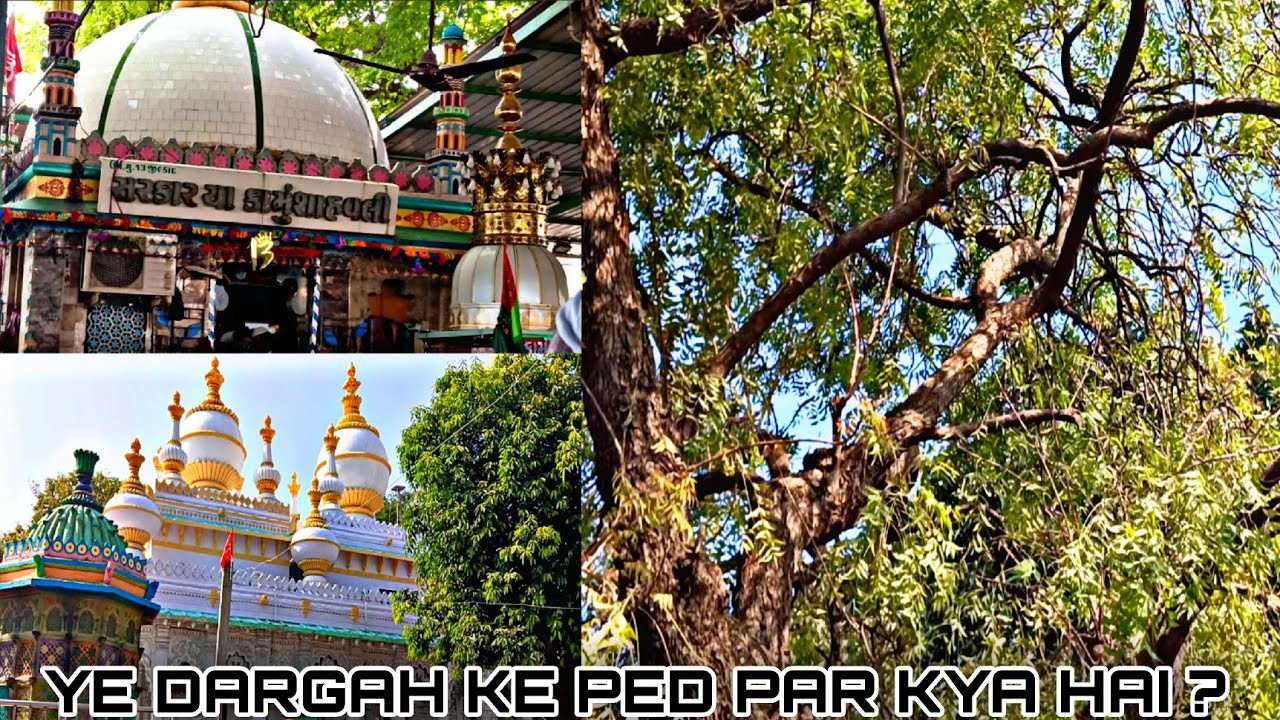 YE DARGAH KE PED PAR KYA HAI ?? 🤔🤔