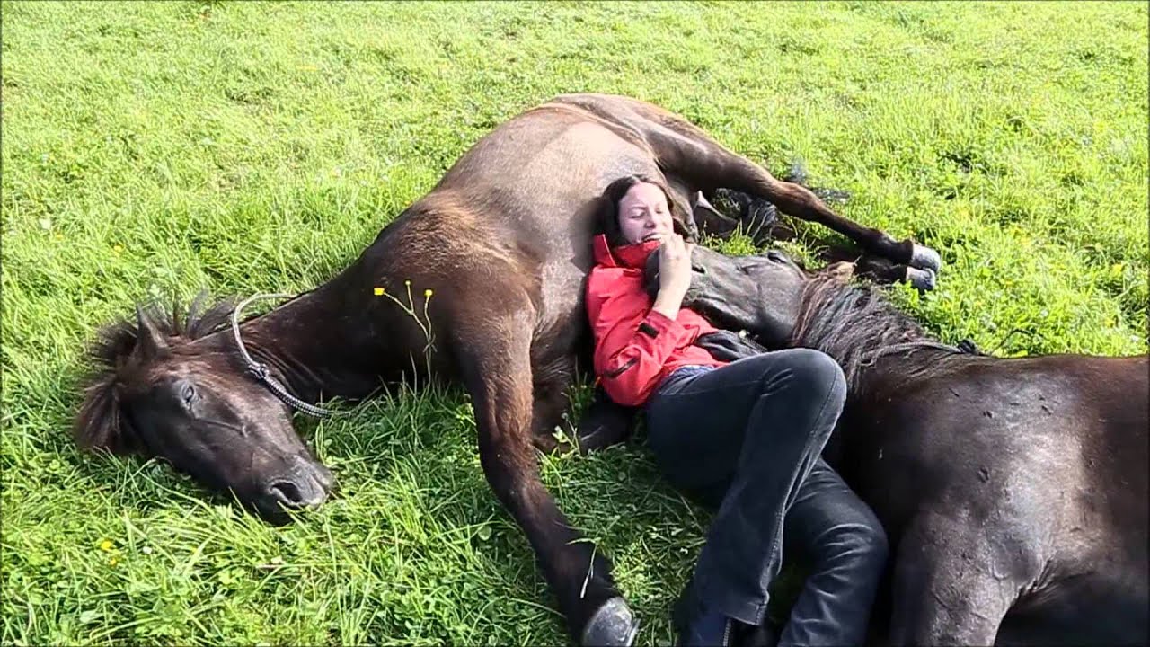 The magic bond - Incredible connection between woman and horses