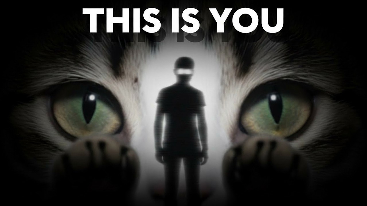 5 Cat Psychology Truths: What Your Cat REALLY Thinks About You Meowing, Belly, Biting, Blocking