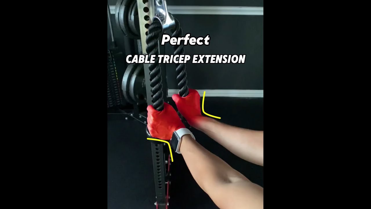 Cable Triceps Extension Key Points
