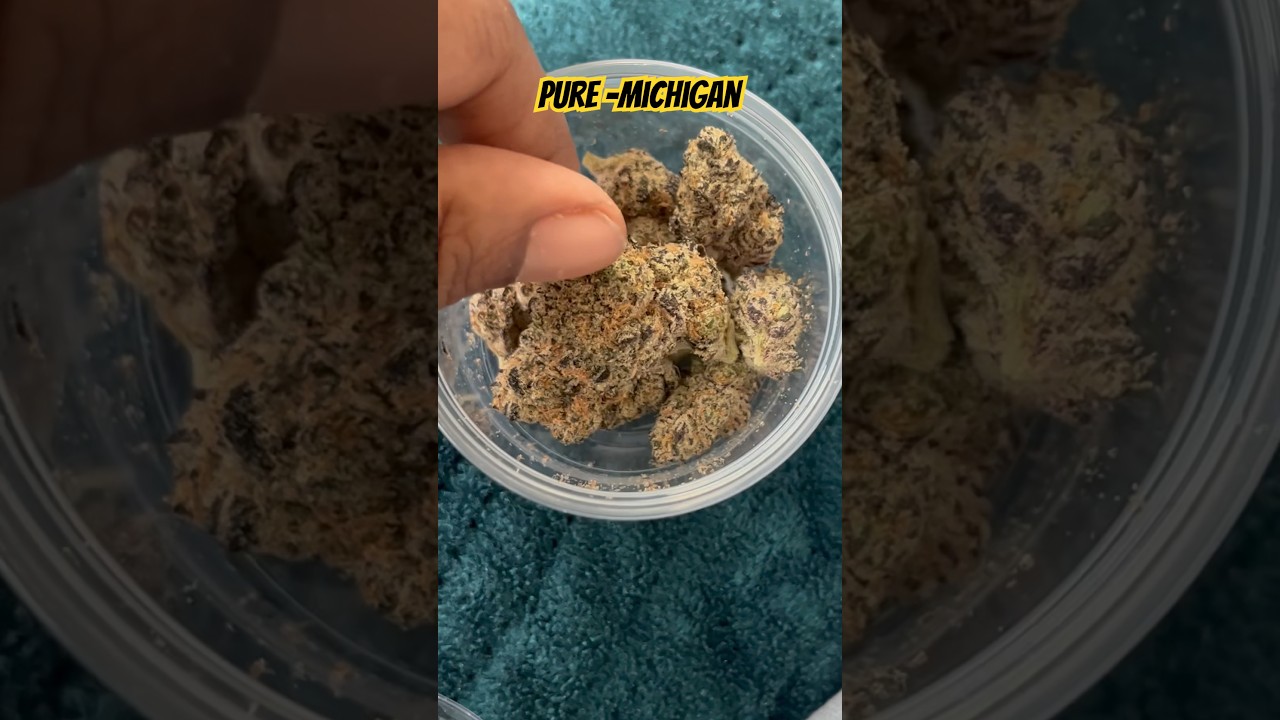 Pure Michigan Strain Review⚡️ #420