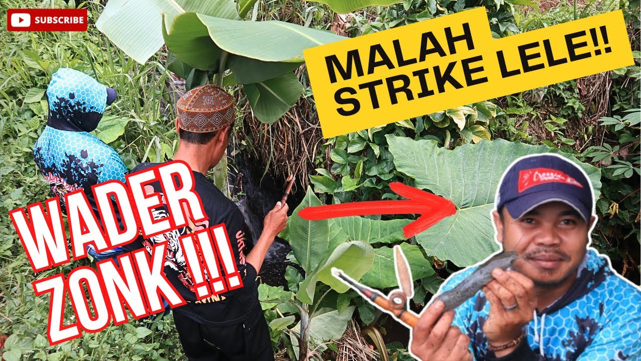 Mancing Wader Gagal Total! Hujan Malah Bikin Lele Strike #mancing #mancingmania #fishing #adventure